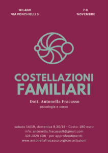 Antonella Fracasso - Incontro Costellazioni familiari - Milano dal 7 all'8 novembre 2026